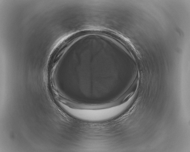 X0000115551319200912041024