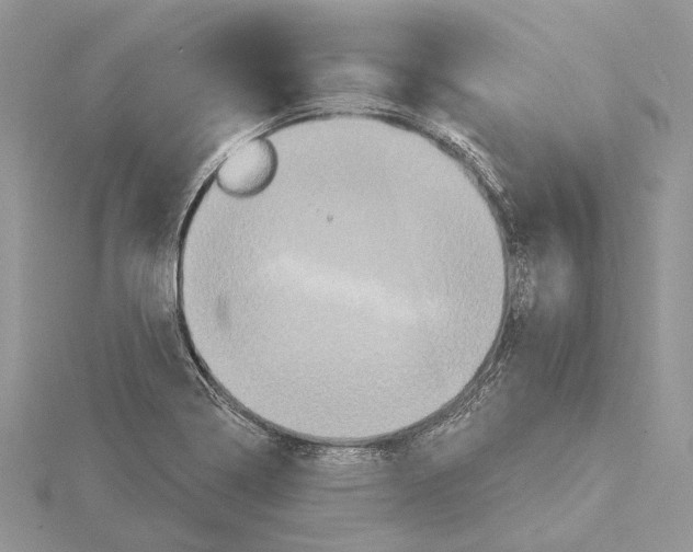 X0000115551322200912041024