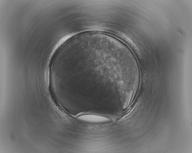 X0000115551323200912041024