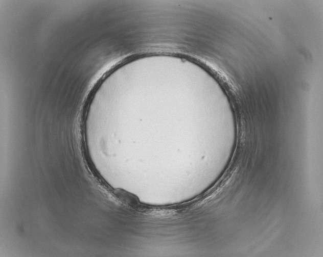 X0000115551325200912041024