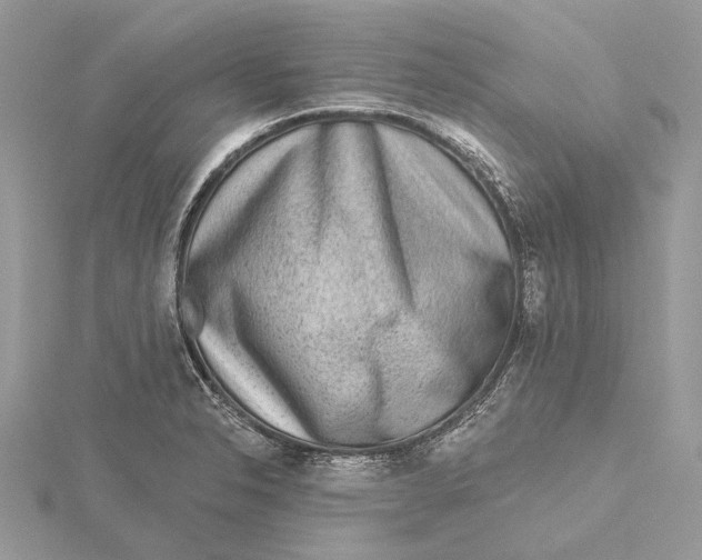 X0000115551326200912041024