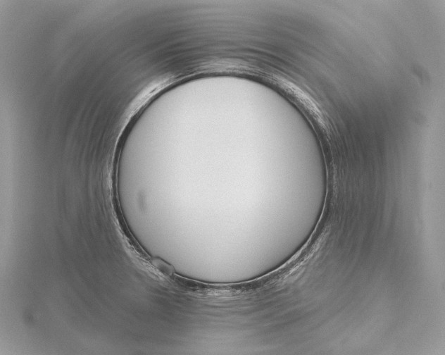 X0000115551330200912041024