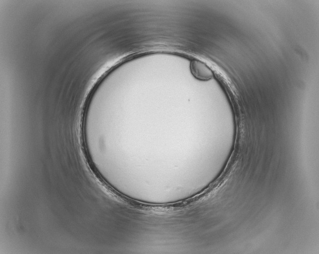 X0000115551333200912041024