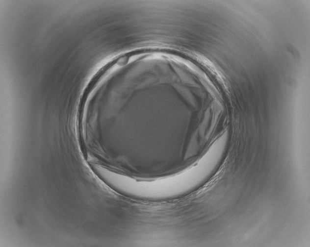 X0000115551334200912041024