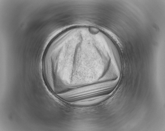 X0000115551335200912041024