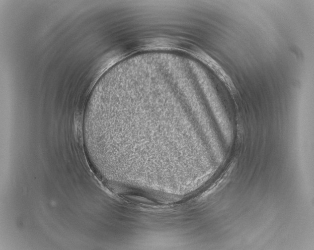 X0000115551337200912041024