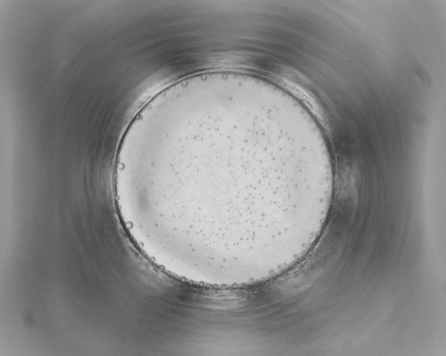 X0000115551338200912041024