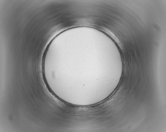 X0000115551339200912041024