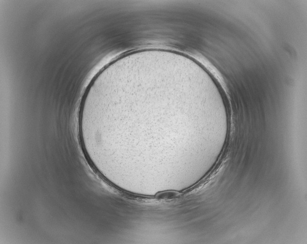 X0000115551341200912041024