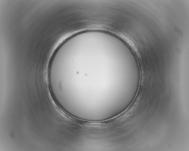 X0000115551342200912041024