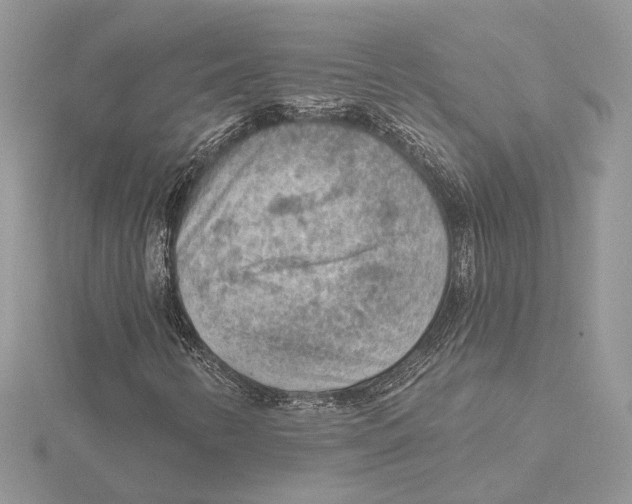 X0000115551346200912041023