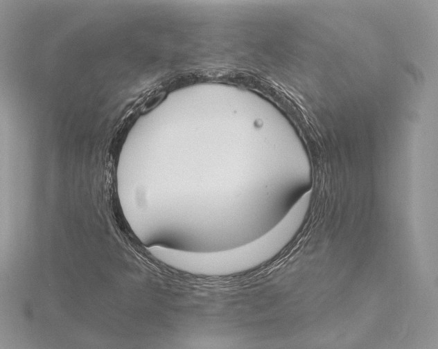 X0000115551349200912041023