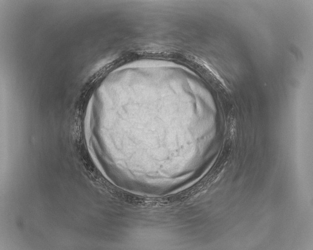 X0000115551350200912041023