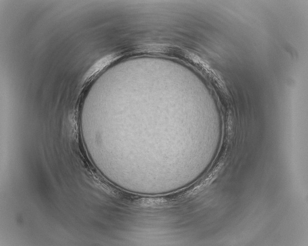 X0000115551354200912041023