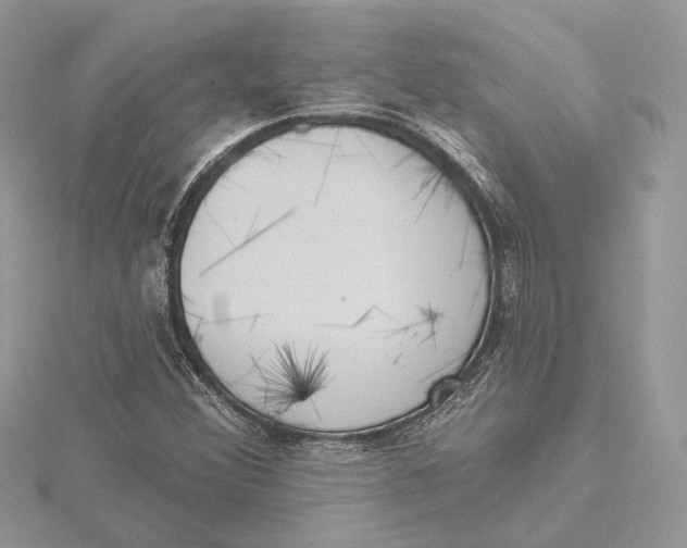 X0000115551356200912041023