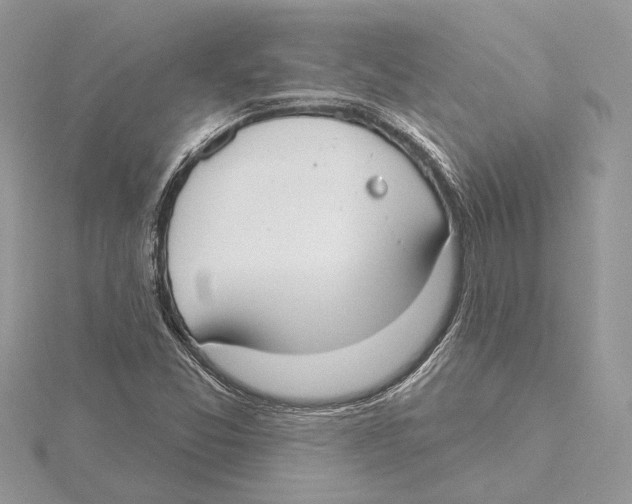 X0000115551357200912041023