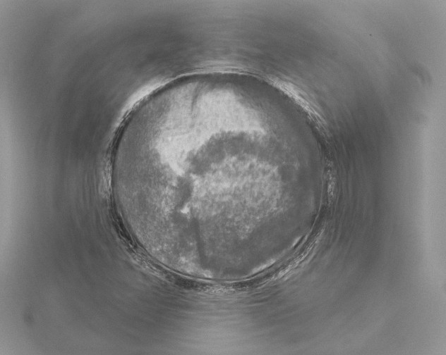 X0000115551358200912041023