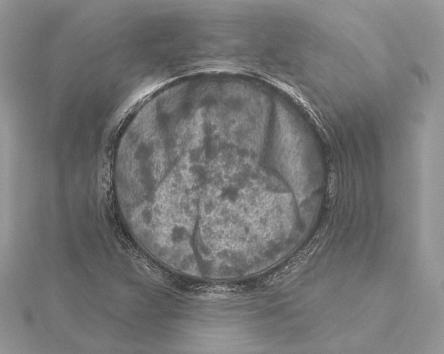 X0000115551359200912041023