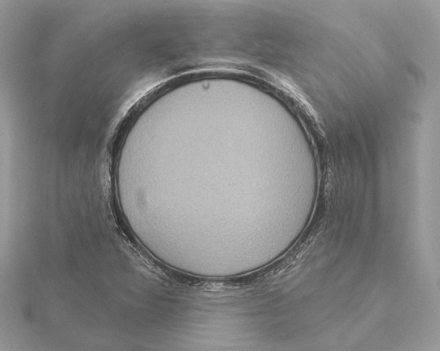 X0000115551360200912041023