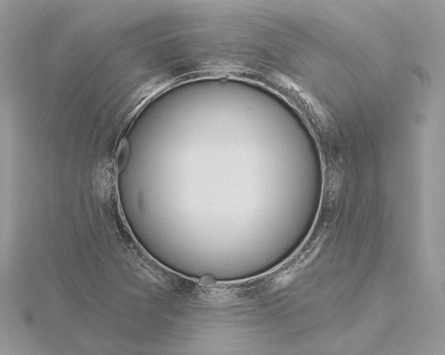 X0000115551361200912041023