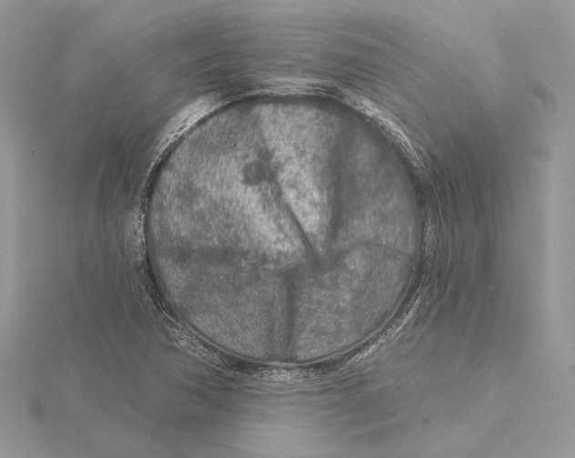 X0000115551362200912041023