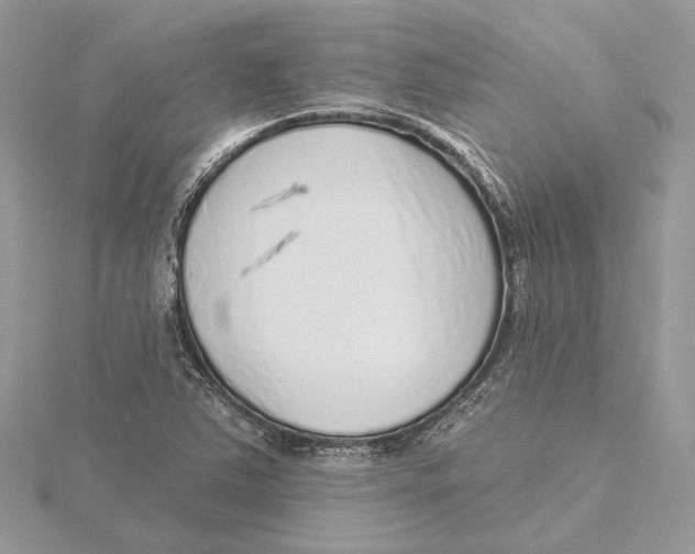 X0000115551363200912041023