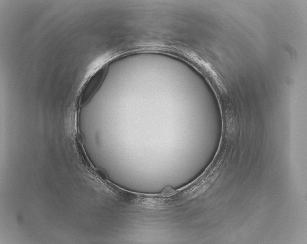 X0000115551365200912041023