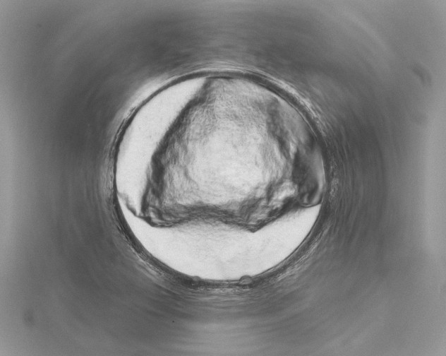 X0000115551367200912041023