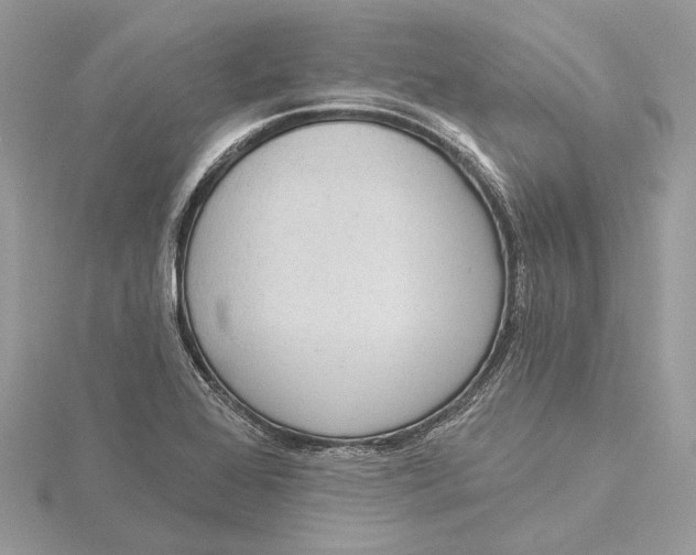 X0000115551368200912041023