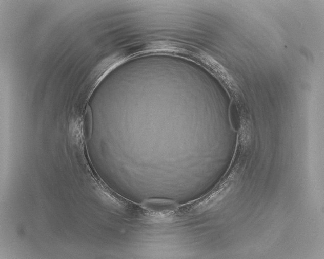 X0000115551369200912041023