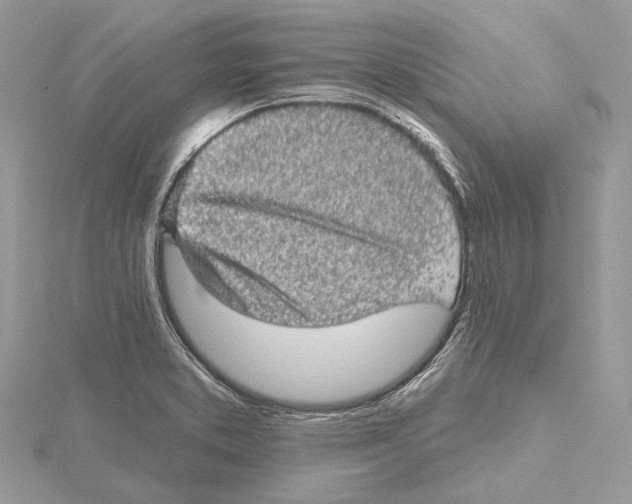 X0000115551373200912041023