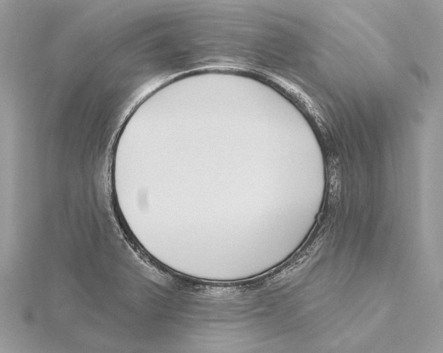 X0000115551375200912041023