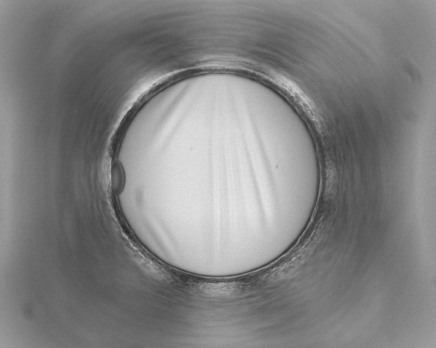 X0000115551376200912041023