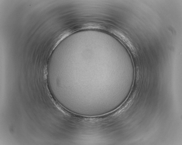 X0000115551377200912041023