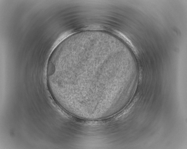 X0000115551378200912041023