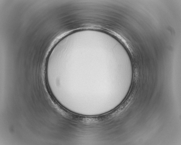 X0000115551379200912041023