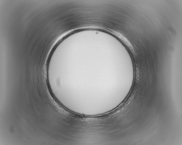 X0000115551380200912041023