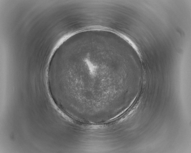 X0000115551381200912041023