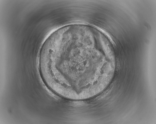 X0000115551383200912041023