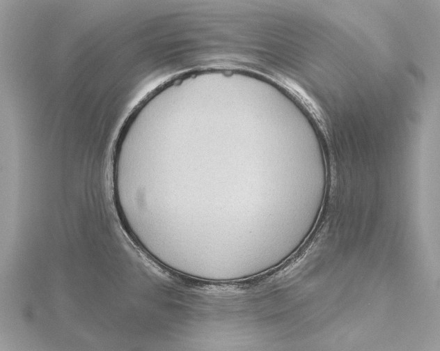 X0000115551384200912041023