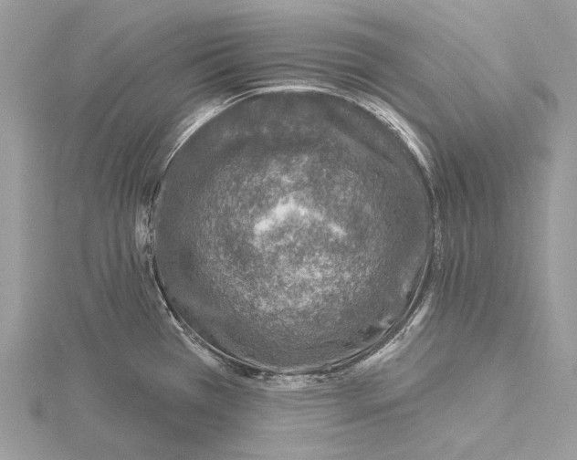 X0000115551385200912041023