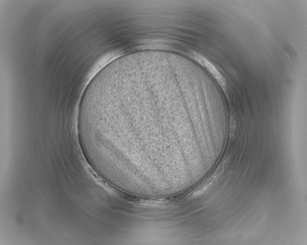 X0000115551386200912041023