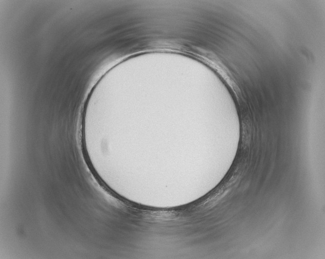 X0000115551387200912041023