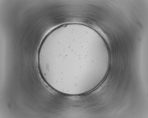 X0000115551388200912041023