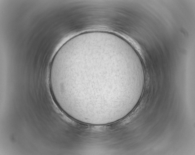 X0000115551390200912041023