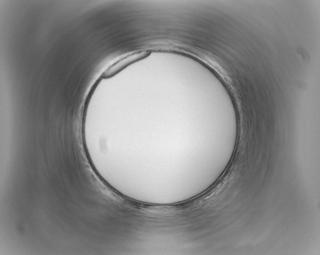 X0000115551392200912041023