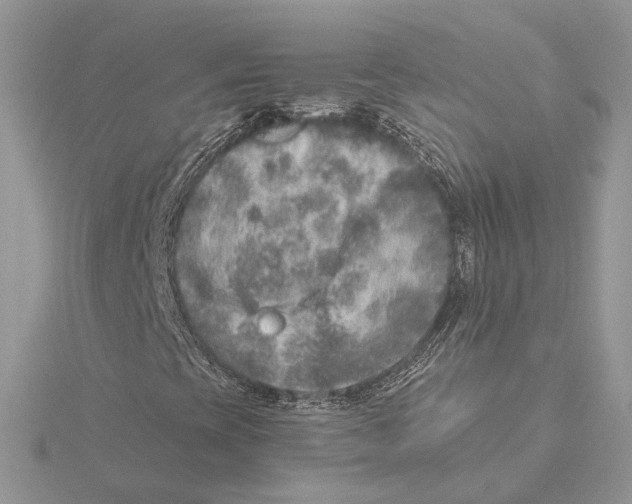 X0000115551393200912041022