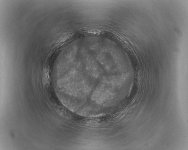 X0000115551394200912041022