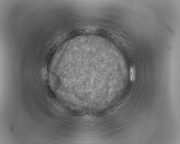 X0000115551395200912041022