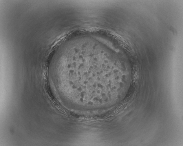 X0000115551397200912041022